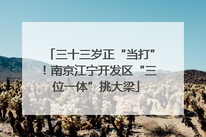 三十三岁正“当打”！南京江宁开发区“三位一体”挑大梁