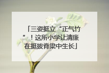 三姿挺立“正气竹”！这所小学让清廉在挺拔脊梁中生长