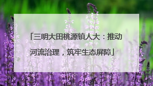 三明大田桃源镇人大：推动河流治理，筑牢生态屏障