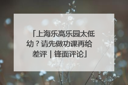 上海乐高乐园太低幼？请先做功课再给差评｜锋面评论