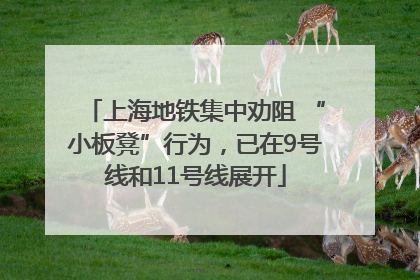 上海地铁集中劝阻 “小板凳”行为，已在9号线和11号线展开