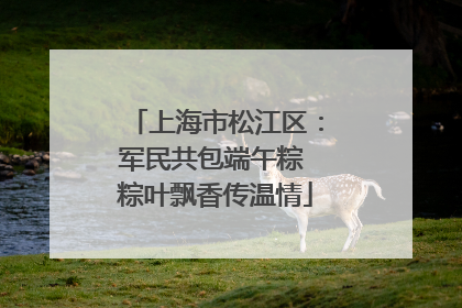 上海市松江区：军民共包端午粽 粽叶飘香传温情