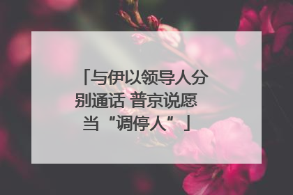 与伊以领导人分别通话 普京说愿当“调停人”