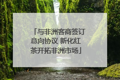 与非洲客商签订意向协议 新化红茶开拓非洲市场