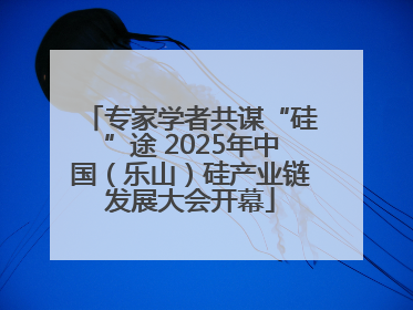 专家学者共谋“硅”途 2025年中国（乐山）硅产业链发展大会开幕