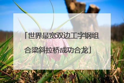 世界最宽双边工字钢组合梁斜拉桥成功合龙