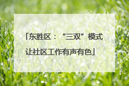 东胜区：“三双”模式让社区工作有声有色