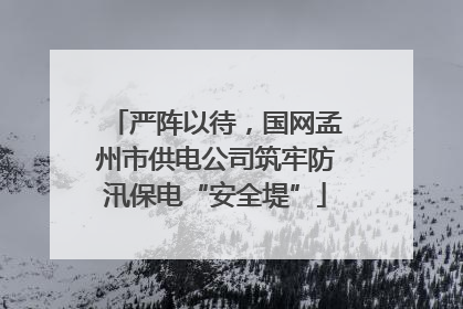 严阵以待，国网孟州市供电公司筑牢防汛保电“安全堤”