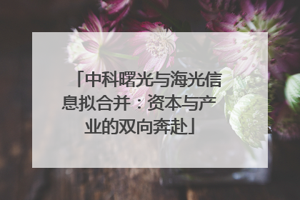 中科曙光与海光信息拟合并：资本与产业的双向奔赴