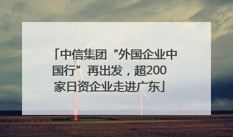 中信集团“外国企业中国行”再出发，超200家日资企业走进广东