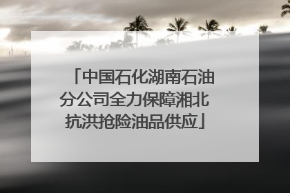 中国石化湖南石油分公司全力保障湘北抗洪抢险油品供应