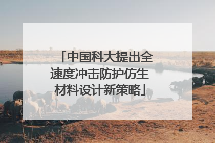 中国科大提出全速度冲击防护仿生材料设计新策略