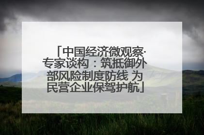 中国经济微观察·专家谈构：筑抵御外部风险制度防线 为民营企业保驾护航