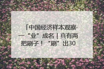 中国经济样本观察·一“业”成名｜真有两把刷子！“刷”出30亿级“颜值经济”