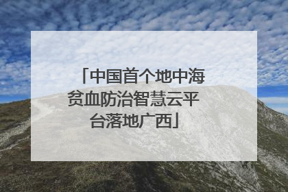中国首个地中海贫血防治智慧云平台落地广西