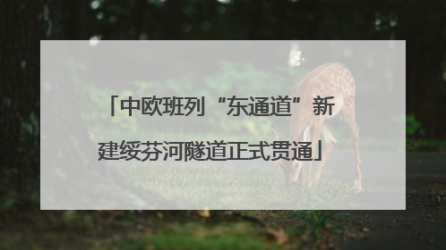 中欧班列“东通道”新建绥芬河隧道正式贯通