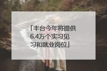 丰台今年将提供6.4万个实习见习和就业岗位