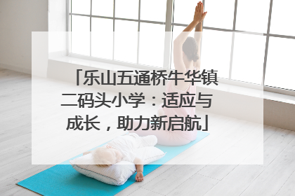 乐山五通桥牛华镇二码头小学：适应与成长，助力新启航
