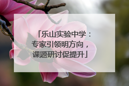 乐山实验中学：专家引领明方向，课题研讨促提升