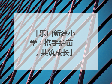 乐山新建小学：携手护苗，共筑成长