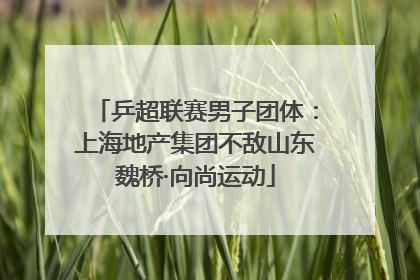 乒超联赛男子团体：上海地产集团不敌山东魏桥·向尚运动