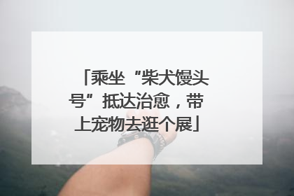 乘坐“柴犬馒头号”抵达治愈，带上宠物去逛个展