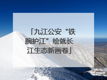 九江公安“铁腕护江”绘就长江生态新画卷
