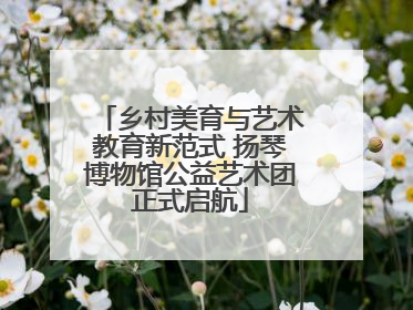 乡村美育与艺术教育新范式 扬琴博物馆公益艺术团正式启航