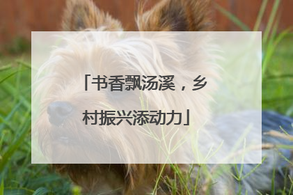 书香飘汤溪，乡村振兴添动力