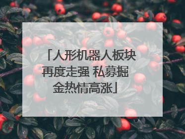 人形机器人板块再度走强 私募掘金热情高涨