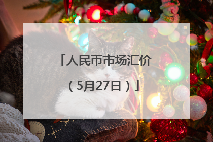 人民币市场汇价（5月27日）