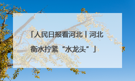 人民日报看河北丨河北衡水拧紧“水龙头”