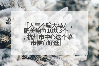 人气不输大马弄，肥美鲍鱼10块3个，杭州市中心这个菜市便宜好逛