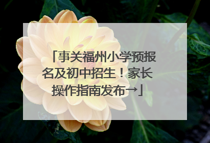 事关福州小学预报名及初中招生！家长操作指南发布→