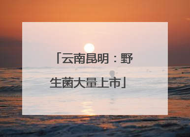 云南昆明：野生菌大量上市