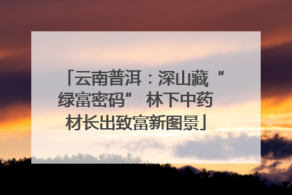 云南普洱：深山藏“绿富密码” 林下中药材长出致富新图景