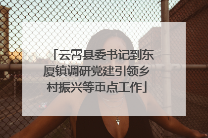云霄县委书记到东厦镇调研党建引领乡村振兴等重点工作