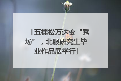 五棵松万达变“秀场”，北服研究生毕业作品展举行