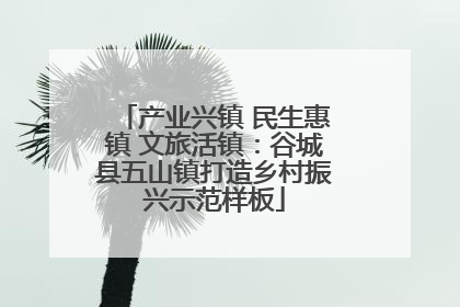 产业兴镇 民生惠镇 文旅活镇：谷城县五山镇打造乡村振兴示范样板