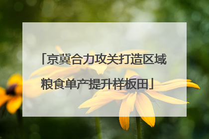 京冀合力攻关打造区域粮食单产提升样板田