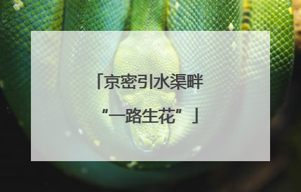 京密引水渠畔“一路生花”