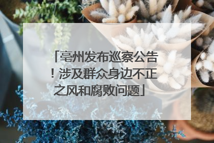 亳州发布巡察公告！涉及群众身边不正之风和腐败问题