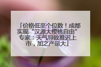 价格低至个位数！成都实现“汉源大樱桃自由” 专家：天气导致推迟上市，加之产量大
