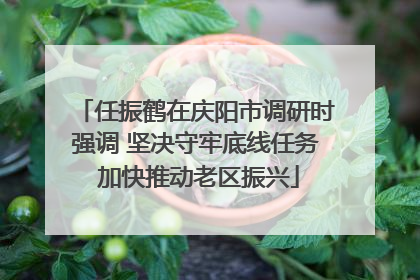 任振鹤在庆阳市调研时强调 坚决守牢底线任务 加快推动老区振兴