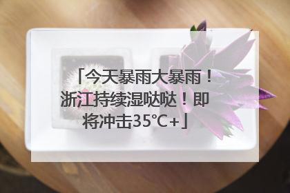 今天暴雨大暴雨！浙江持续湿哒哒！即将冲击35℃+
