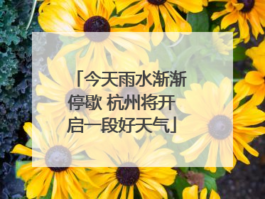 今天雨水渐渐停歇 杭州将开启一段好天气