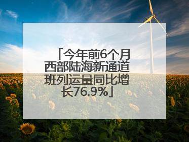 今年前6个月西部陆海新通道班列运量同比增长76.9%