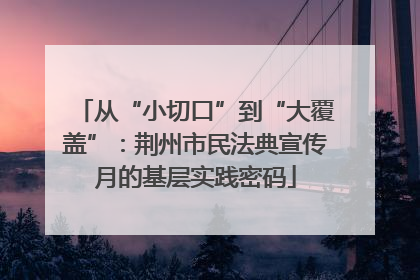 从“小切口”到“大覆盖”：荆州市民法典宣传月的基层实践密码