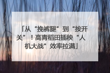 从“挽裤腿”到“按开关”！高青稻田插秧“人机大战”效率拉满