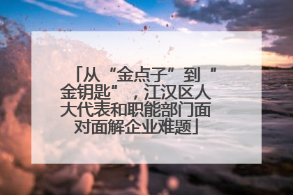 从“金点子”到“金钥匙”，江汉区人大代表和职能部门面对面解企业难题